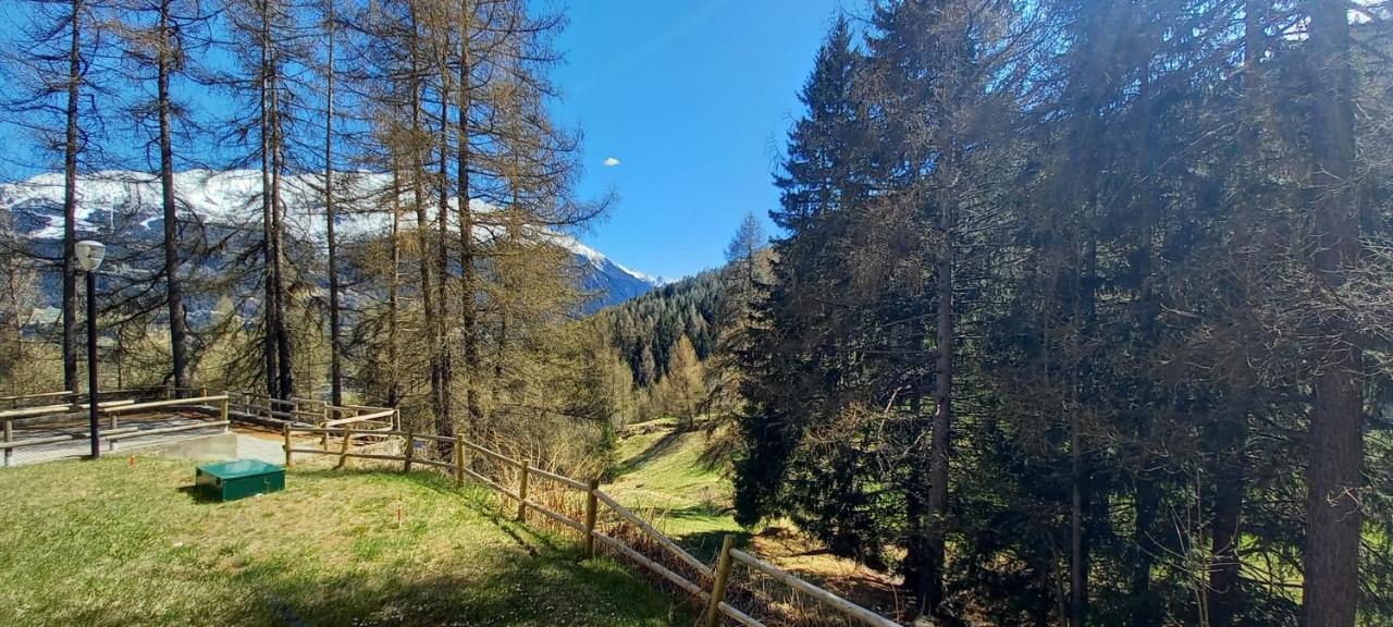 Stelviostay Residence Stelvio Valdisotto Bagian luar foto